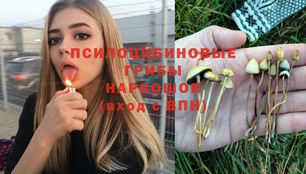 хмурый Балахна