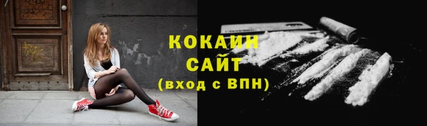 ПСИЛОЦИБИНОВЫЕ ГРИБЫ Белокуриха
