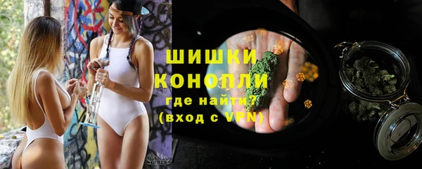 ПСИЛОЦИБИНОВЫЕ ГРИБЫ Белокуриха
